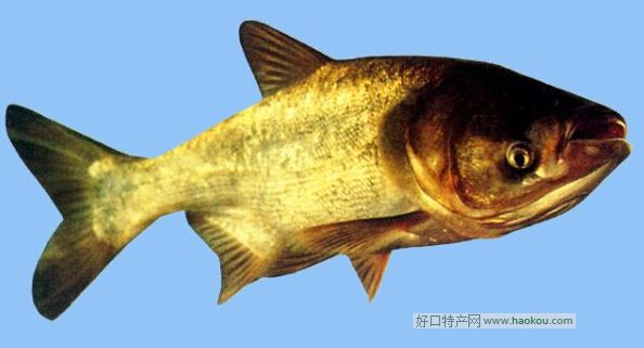 �̵�������~